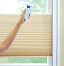 MOTORIZATION